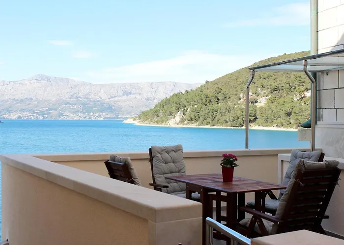 The View بوتشيتشا